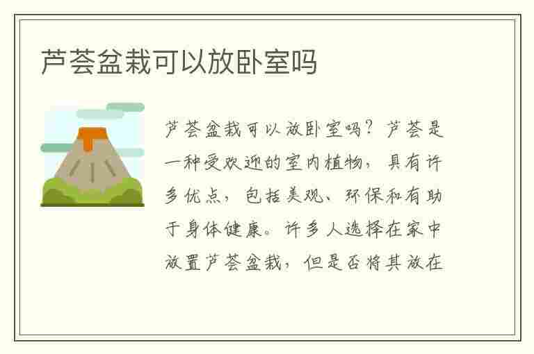 芦荟盆栽可以放卧室吗(芦荟盆栽可以放卧室吗风水好吗)